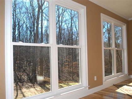 windows / siding